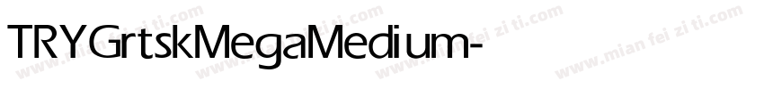 TRYGrtskMega Medium字体转换